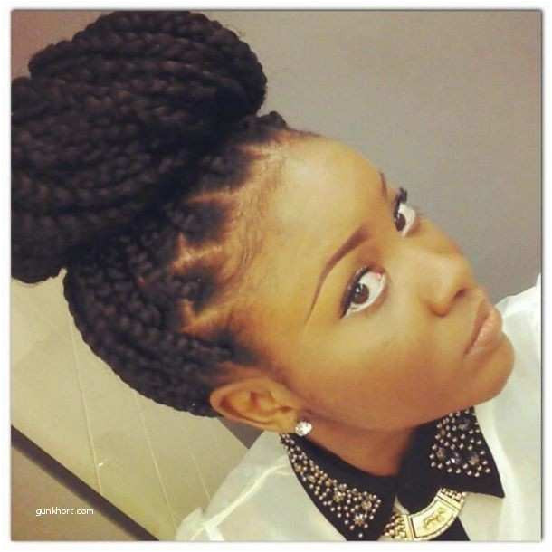 Braid Hairstyles Girls Awesome Ely Pics Braids Hairstyles Lovely Braided Mohawk Hairstyles 0d Braid Hairstyles