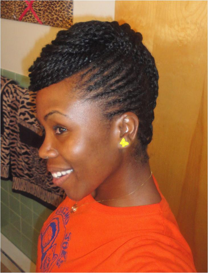 Braided Hairstyles for Short Natural Hair Braid Styles for Natural Hair I Pinimg 750x 36 E6