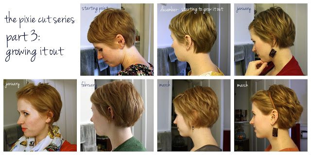 Great visual of monthly interim styles between a pixie and a bob From unspeakable visions the pixie cut series part 3 growing it out