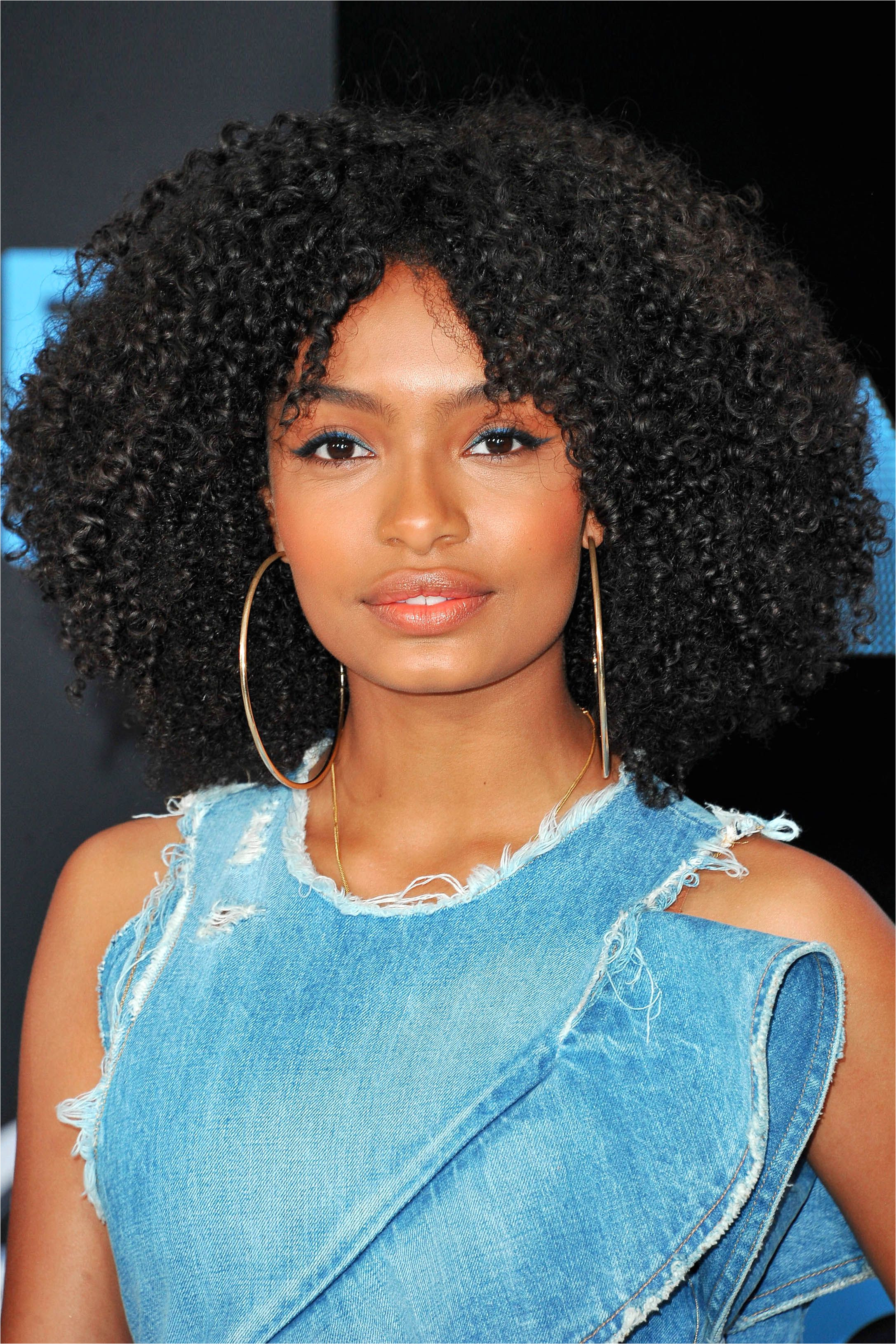 15 Gorgeous Natural Hairstyle Ideas Natural Curly and Braided Hair Looks for Black Women