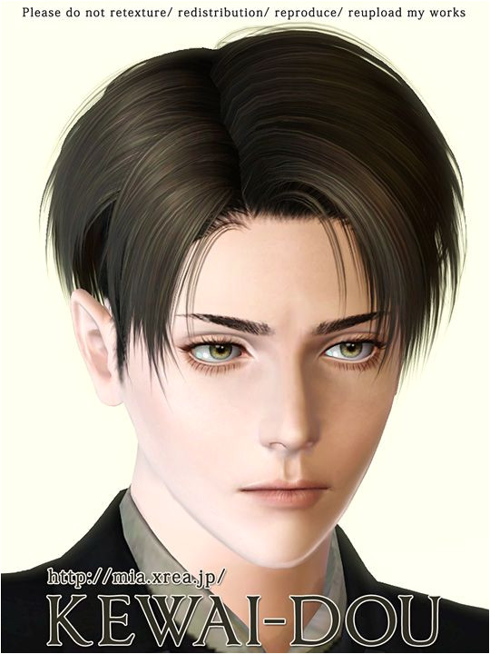 Download page of Levi s hair mod for Sims3