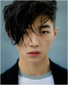 Korean Hairstyles Asian Boy Haircuts Korean Haircut Men Haircuts For Men Korean