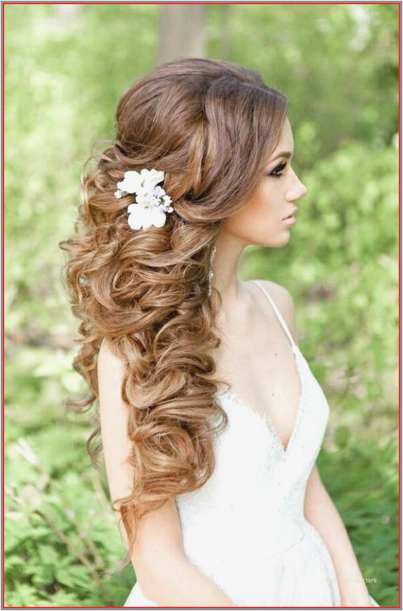 50 Luxury Hairstyles U Can Do with Curly Hair