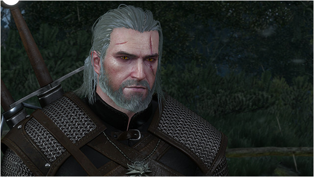 The Witcher 3 Wild Hunt NVIDIA HairWorks Wet Hair Screenshot