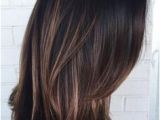 Asian Hair Color 2019 Balayage for Dark Hair Brown Highlights for Black Hair asian