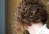 Curly Bob Haircut Pictures Best Curly Inverted Bob Hairstyles New Hairstyles