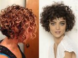 Curly Bob Haircut Pictures Lovely Short Curly Haircuts You Will Adore