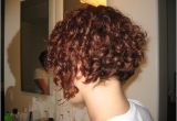 Curly Inverted Bob Haircut Best Curly Inverted Bob Hairstyles New Hairstyles