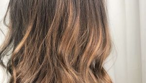 Cute Brown Highlights Hair Highlights for Light Brown Hair Superb Different Hair Colors