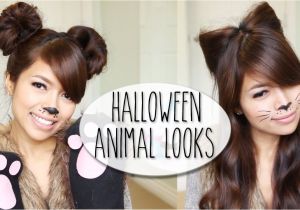 Cute Cat Hairstyles Diy Halloween Costume Ideas