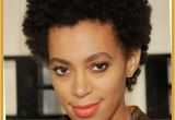 Cute Hairstyles for Nappy Hair Short Natural Hairstyles 30 Hairstyles for Natural Short