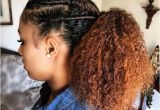 Easy Hairstyles for Natural African American Hair Easy Natural Hairstyles Simple Black Hairstyles for