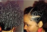 Easy to Do Black Hairstyles Great Black Hairstyles Natural Hair