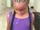 Fake Braids Hairstyles Goddess Braids Half Braided Halo Beehive Black Girl