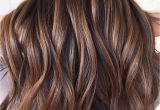 Hairstyles Copper Highlights 20 Tiger Eye Hair Ideas to Hold to Hair