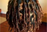 Hairstyles for Beginner Dreads Gorg Starter Locs Loving the Locs Pinterest