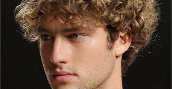 Hairstyles for Men with Curly Wavy Hair Best Long Hairstyles for Men 2012 2013