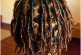 Hairstyles for Starter Dreads 3152 Best Locs Images