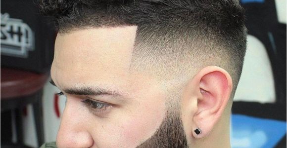 Hairstyles Line Up Curly top with Line Up and Fade Mens Long Hairstyles