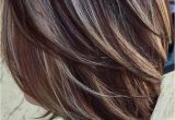 Hairstyles N Colors 47 Highlighted Hair for Brunettes