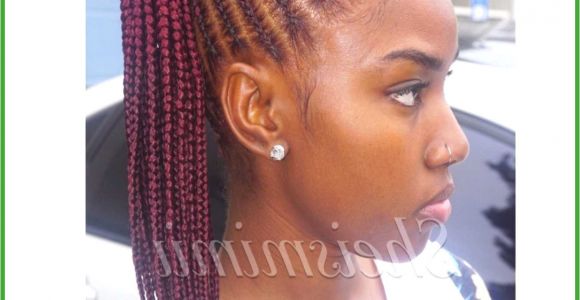 Hairstyles You Can Do with Braids Black Braided Hair Styles