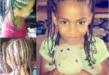 Mixed Girl Hairstyles Braids Mixed Hair Braids Little Girl Hair Style