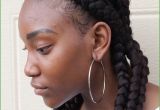 Natural Hairstyles Braids and Twists 8 Cool Natural Hairstyles Braids