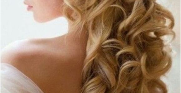 Pictures Of Wedding Hairstyles for Long Hair with Veil Pin by Nectaria Kordan On Bridal Hair Pinterest