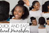 Quick and Easy Hairstyles for Natural Black Hair 7 Quick and Easy Hairstyles for Natural Hair