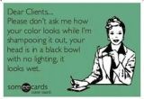 Someecards Hairstylist 146 Best It S A Salon Thing Images