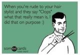 Someecards Hairstylist 56 Best Hair Humor Images