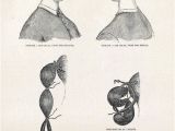 Victorian Hairstyles Bangs Easy Victorian Bun Pictorial Hair